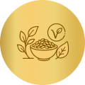Vegan and Vegetarian
