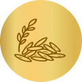 Extra-Long Grain
